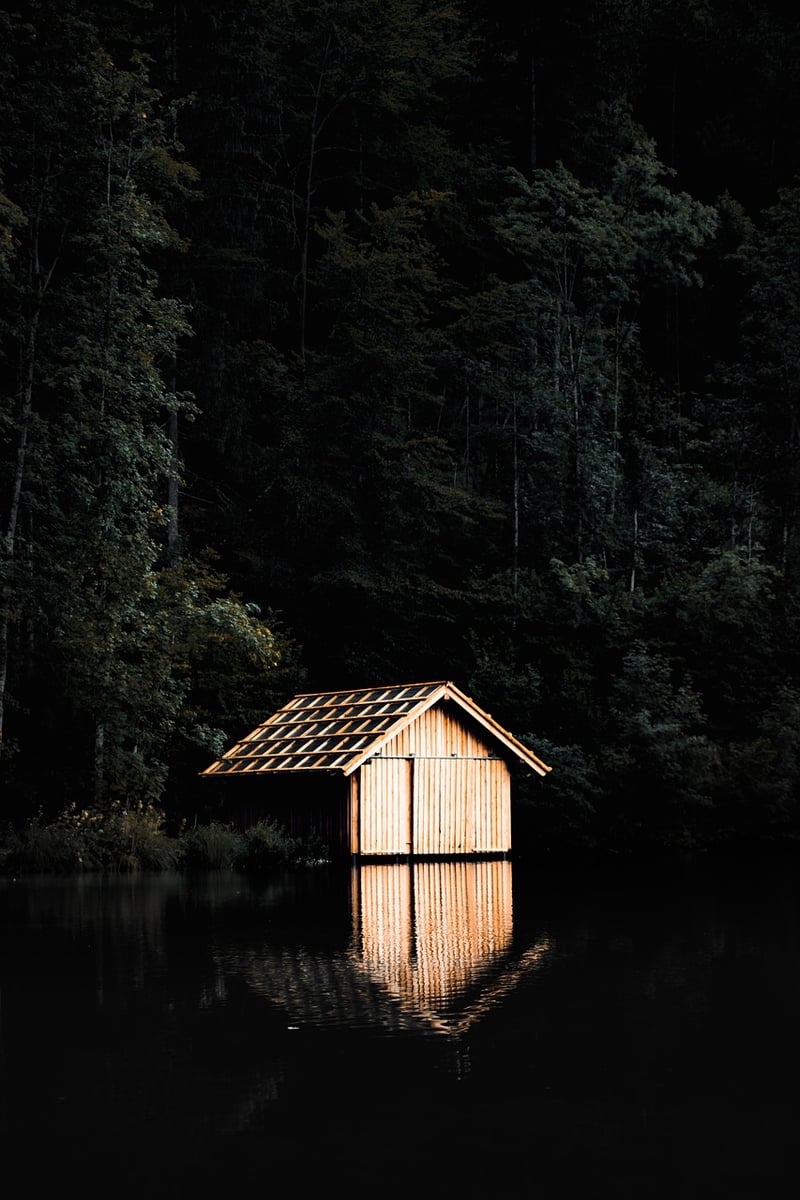 Rustic Cabin in the Woods